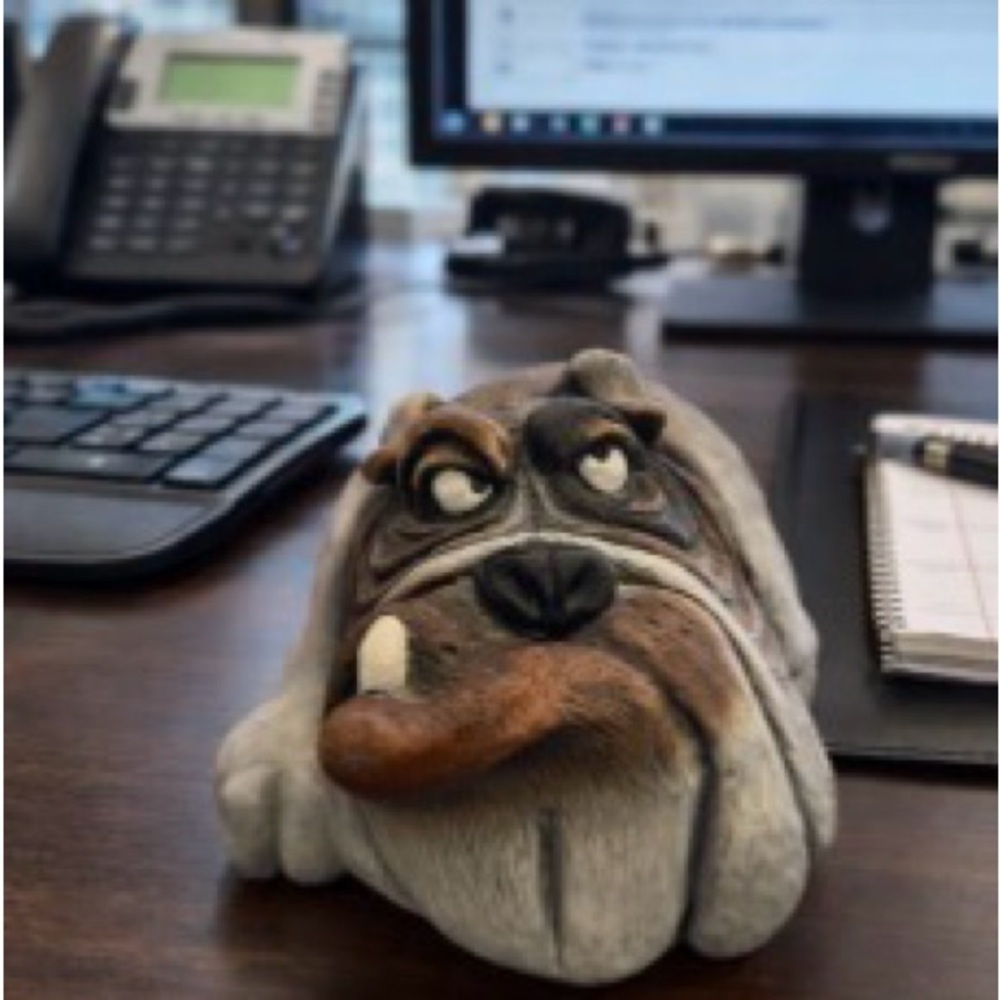 Dog display - Brown & Gray